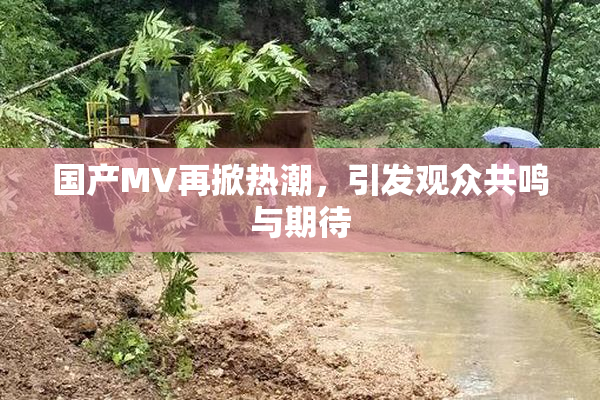 国产MV再掀热潮，引发观众共鸣与期待