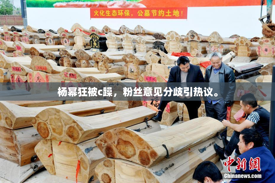 杨幂狂被c躁，粉丝意见分歧引热议。