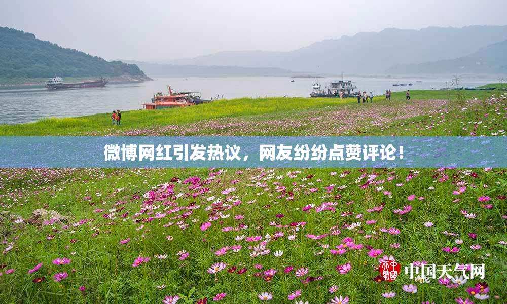 微博网红引发热议，网友纷纷点赞评论！