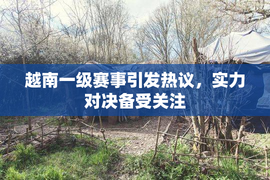 越南一级赛事引发热议，实力对决备受关注
