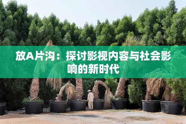 放A片沟：探讨影视内容与社会影响的新时代
