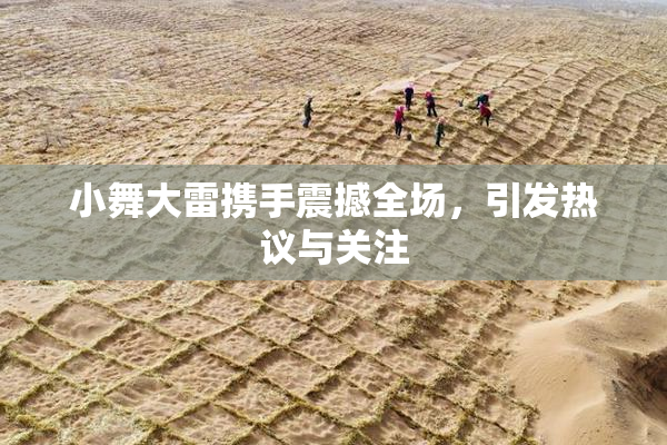 小舞大雷携手震撼全场，引发热议与关注
