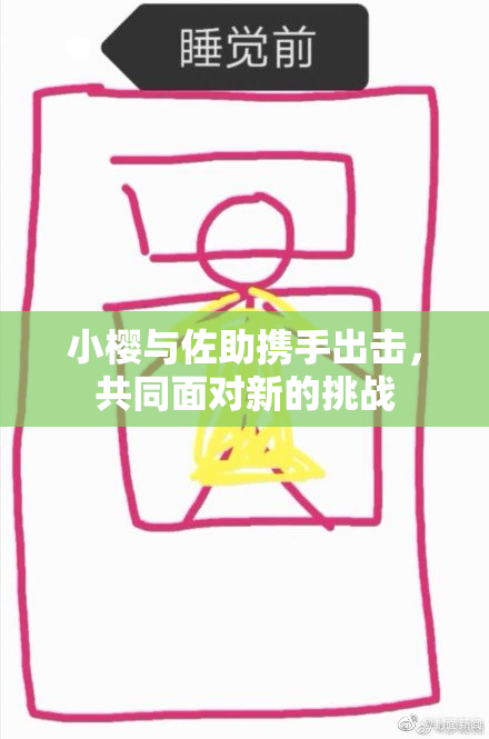 小樱与佐助携手出击，共同面对新的挑战