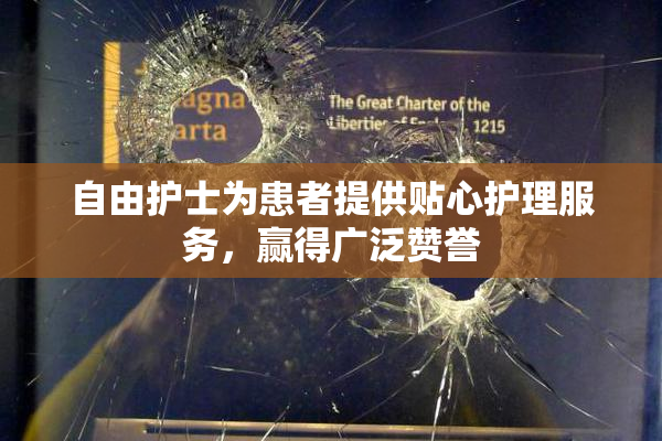 自由护士为患者提供贴心护理服务，赢得广泛赞誉