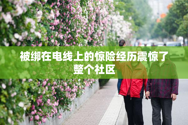 被绑在电线上的惊险经历震惊了整个社区