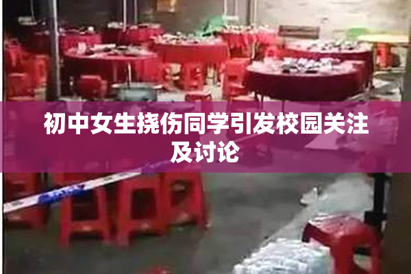 初中女生挠伤同学引发校园关注及讨论