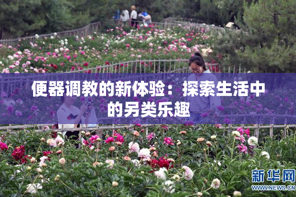 便器调教的新体验：探索生活中的另类乐趣