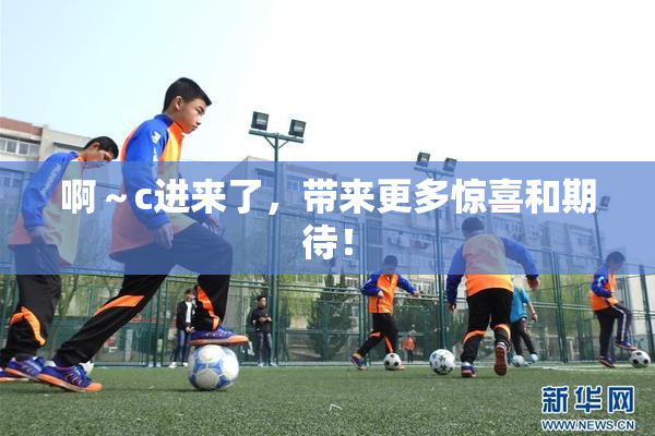 啊～c进来了，带来更多惊喜和期待！