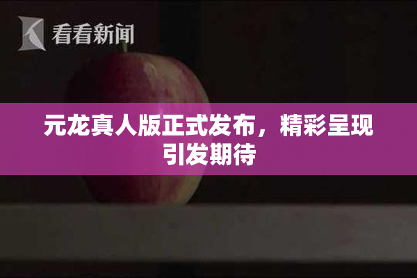 元龙真人版正式发布，精彩呈现引发期待