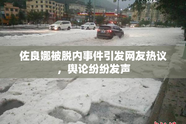 佐良娜被脱内事件引发网友热议，舆论纷纷发声