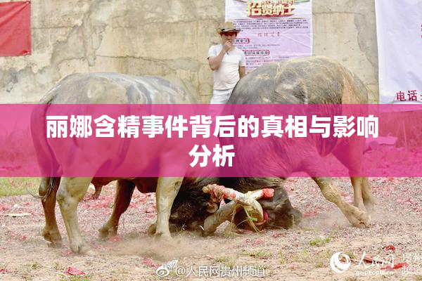 丽娜含精事件背后的真相与影响分析