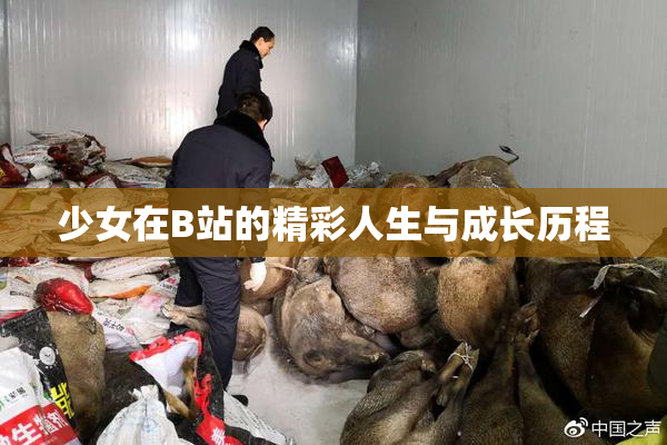 少女在B站的精彩人生与成长历程