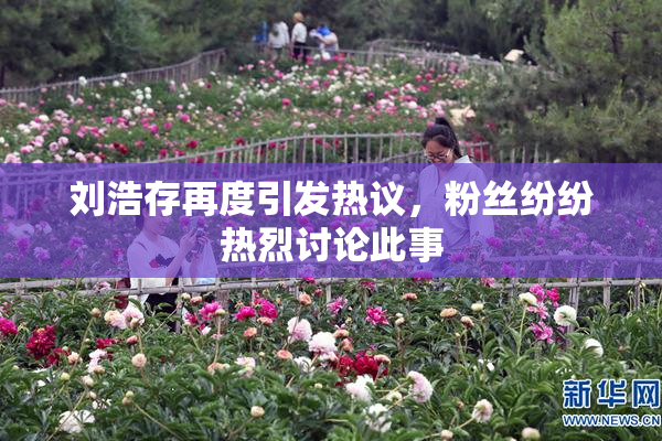 刘浩存再度引发热议，粉丝纷纷热烈讨论此事