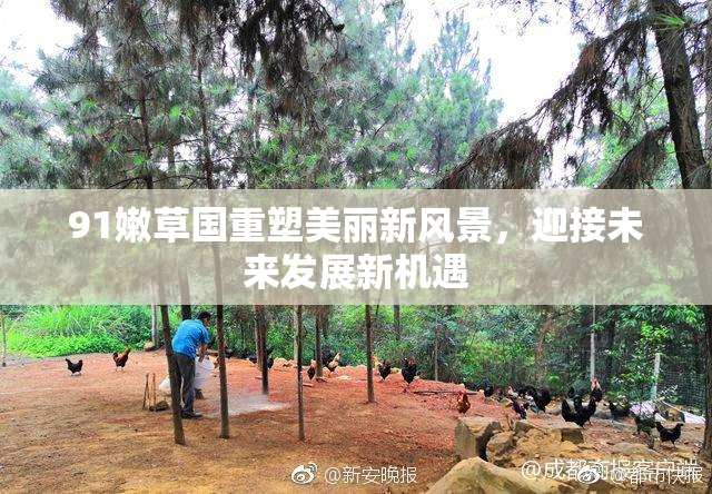 91嫩草国重塑美丽新风景，迎接未来发展新机遇