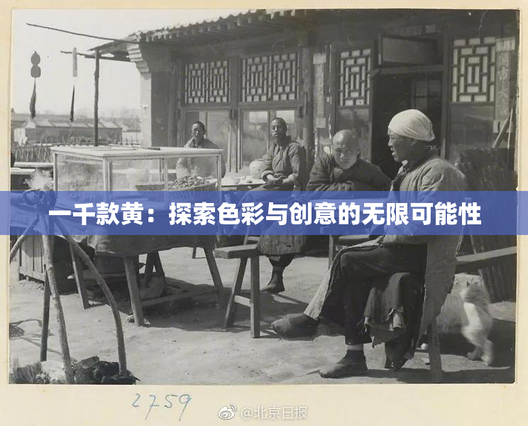 一千款黄：探索色彩与创意的无限可能性