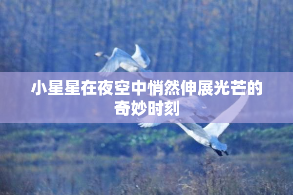 小星星在夜空中悄然伸展光芒的奇妙时刻