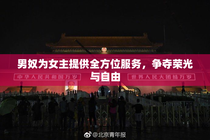 男奴为女主提供全方位服务，争夺荣光与自由