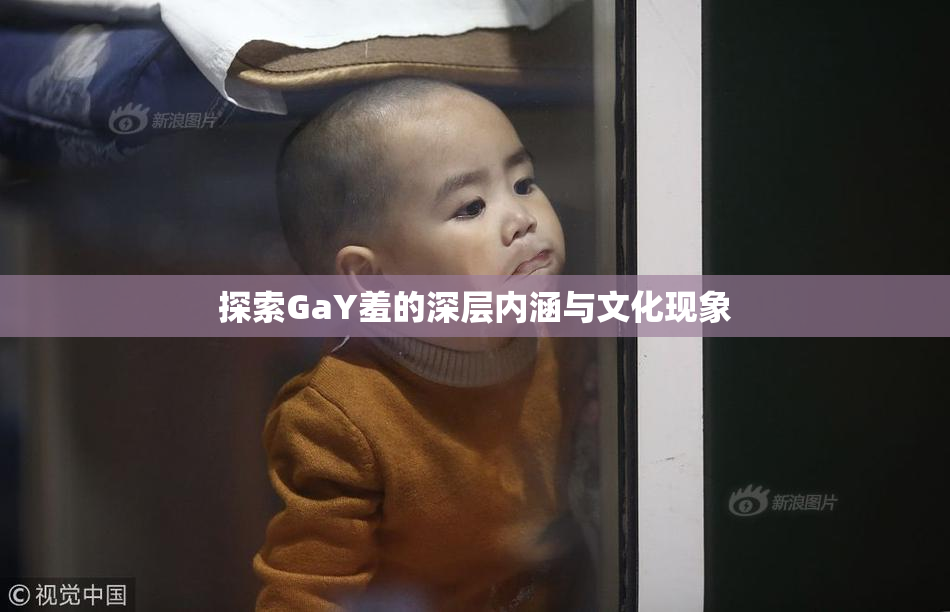探索GaY羞的深层内涵与文化现象