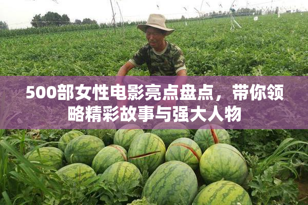 500部女性电影亮点盘点，带你领略精彩故事与强大人物