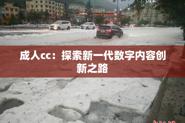 成人cc：探索新一代数字内容创新之路