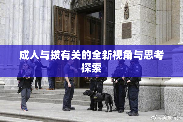 成人与拔有关的全新视角与思考探索