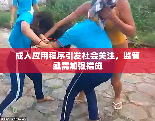 成人应用程序引发社会关注，监管亟需加强措施