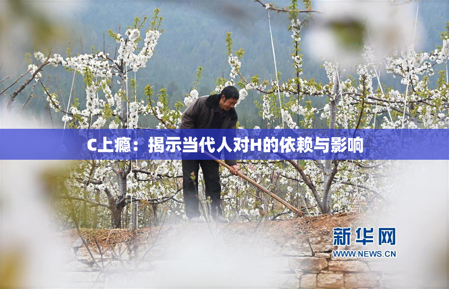 C上瘾：揭示当代人对H的依赖与影响