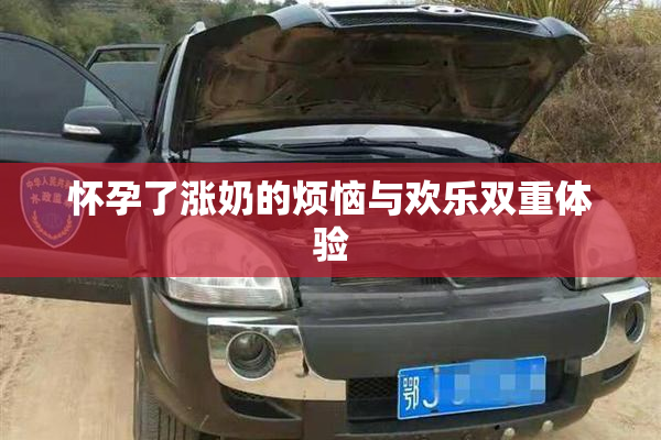 怀孕了涨奶的烦恼与欢乐双重体验