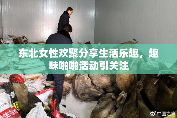 东北女性欢聚分享生活乐趣，趣味啪啪活动引关注