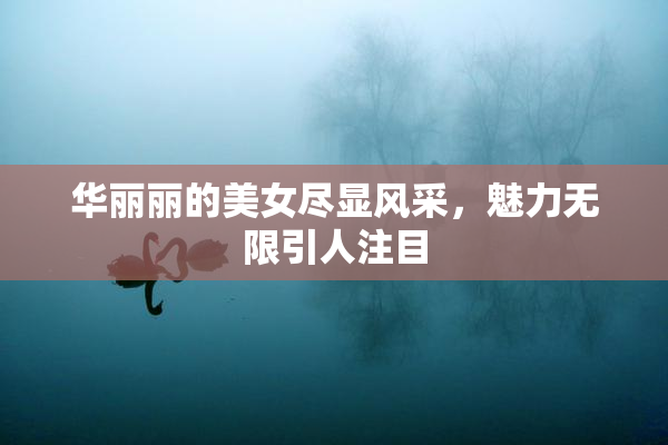 华丽丽的美女尽显风采，魅力无限引人注目