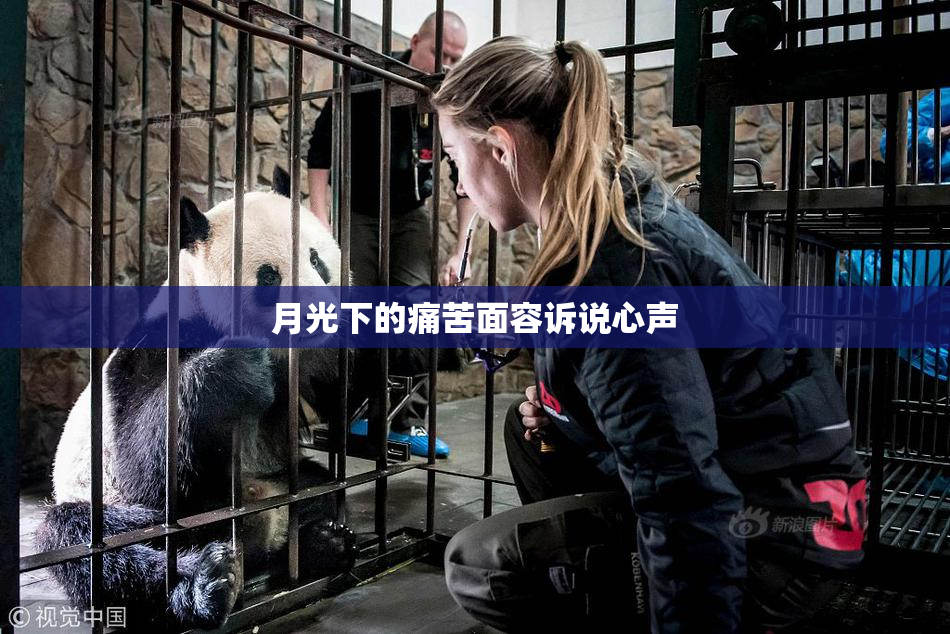 月光下的痛苦面容诉说心声