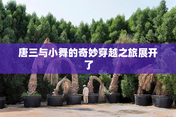 唐三与小舞的奇妙穿越之旅展开了