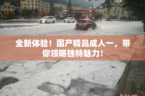 全新体验！国产精品成人一，带你领略独特魅力！