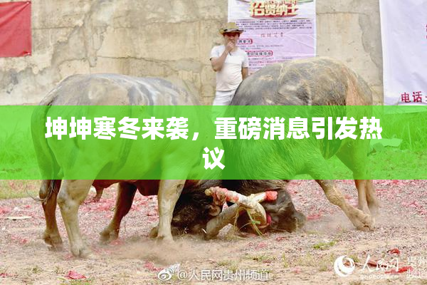 坤坤寒冬来袭，重磅消息引发热议