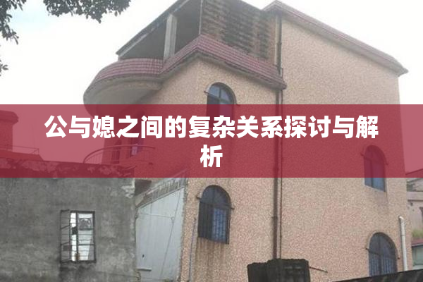 公与媳之间的复杂关系探讨与解析