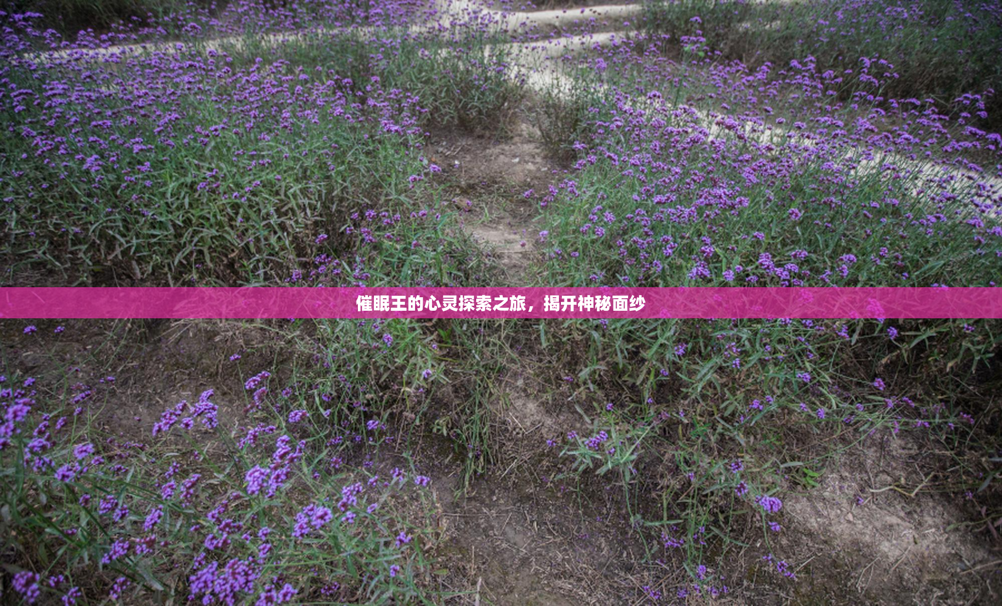 催眠王的心灵探索之旅，揭开神秘面纱