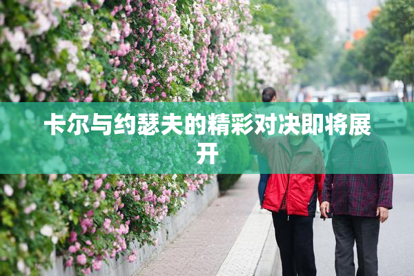 卡尔与约瑟夫的精彩对决即将展开