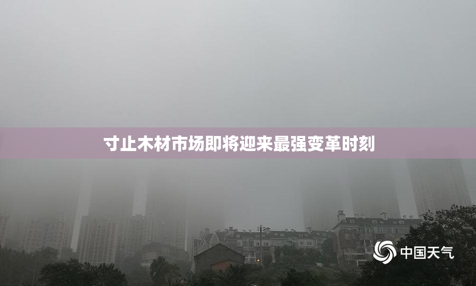 寸止木材市场即将迎来最强变革时刻