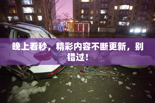 晚上看秒，精彩内容不断更新，别错过！