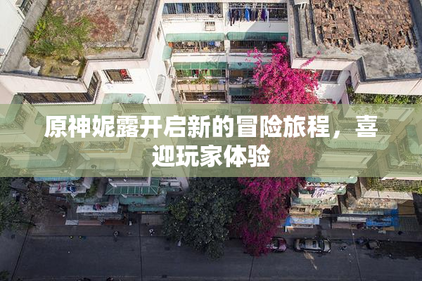 原神妮露开启新的冒险旅程，喜迎玩家体验