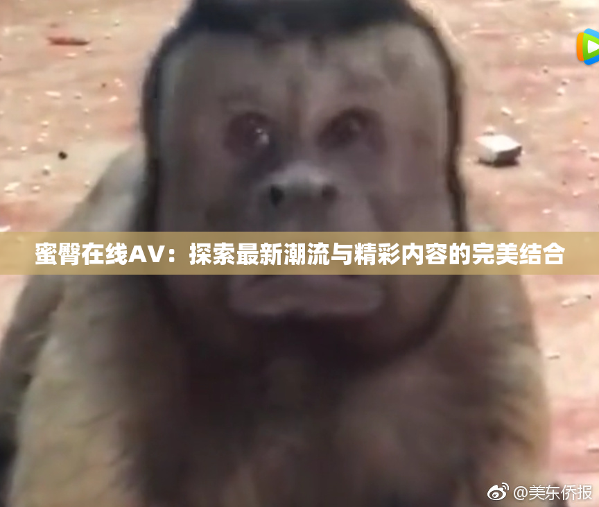 蜜臀在线AV：探索最新潮流与精彩内容的完美结合