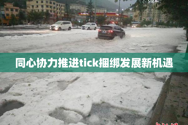 同心协力推进tick捆绑发展新机遇