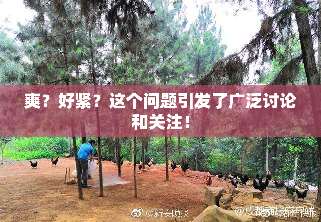 爽？好紧？这个问题引发了广泛讨论和关注！