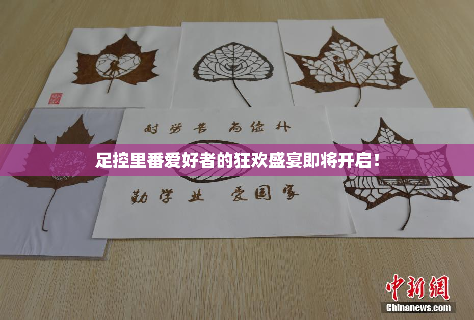 足控里番爱好者的狂欢盛宴即将开启！