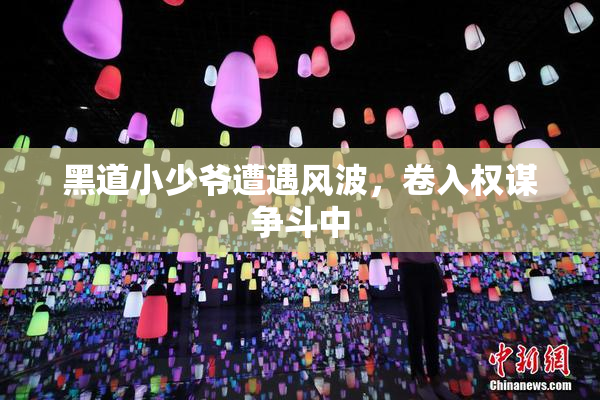 黑道小少爷遭遇风波，卷入权谋争斗中