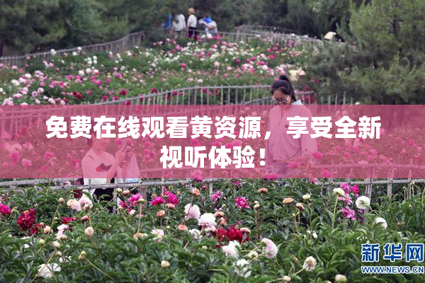 免费在线观看黄资源，享受全新视听体验！