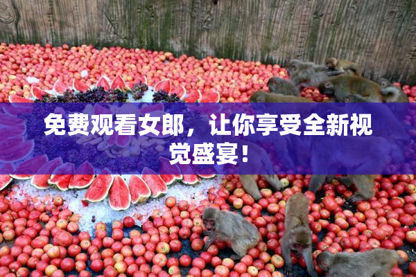 免费观看女郎，让你享受全新视觉盛宴！