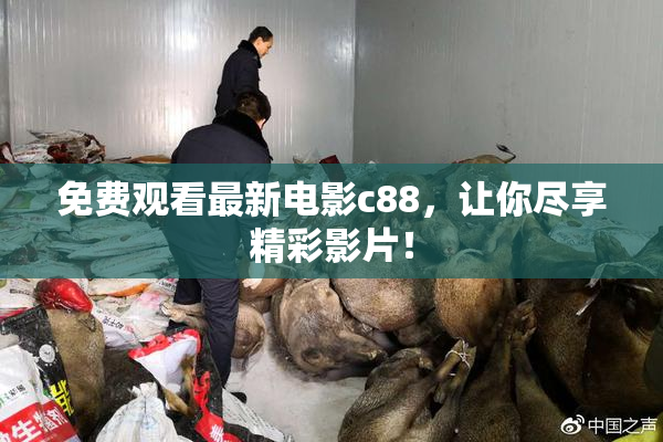 免费观看最新电影c88，让你尽享精彩影片！