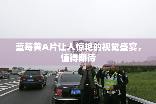 蓝莓黄A片让人惊艳的视觉盛宴，值得期待