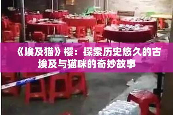 《埃及猫》樱：探索历史悠久的古埃及与猫咪的奇妙故事